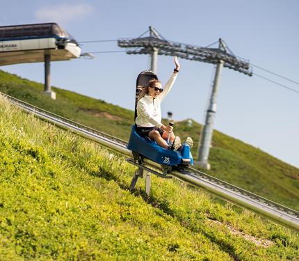 Summer tobogganing run