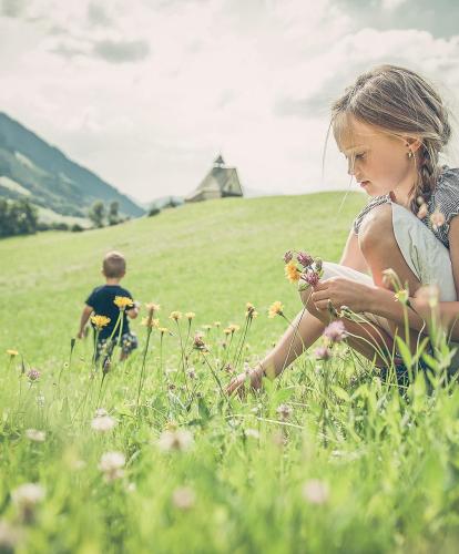 angebot-familien-erlebnis-alex-filz